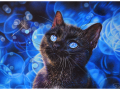 perfect_blue_by_mangakasan-d91mxr0.png
